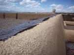 Parapet BEFORE